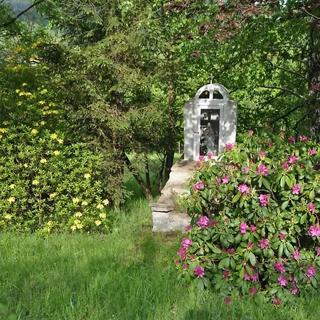 홈스테이 Pod Gwiazdami *