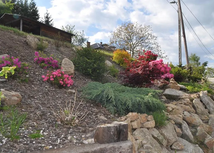 Homestay Pod Gwiazdami Swieradow-Zdroj